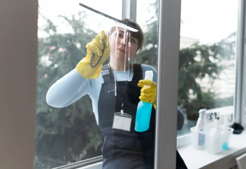 Nettoyage de vitres intérieures et extérieures à Bosgouet
